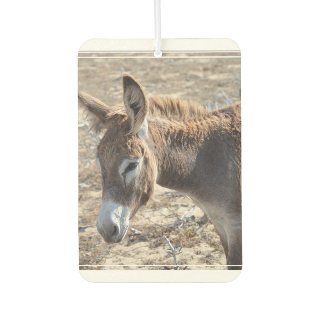 Adorable Donkey Autolufterfrischer (Vorderseite)