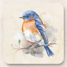 Adorable Eastern Bluebird Wasserfarbe