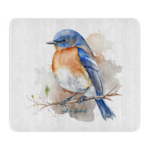 Adorable Eastern Bluebird Wasserfarbe