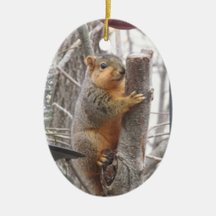 Adorable Eichhörnchen Foto Weihnachten Keramik Ornament