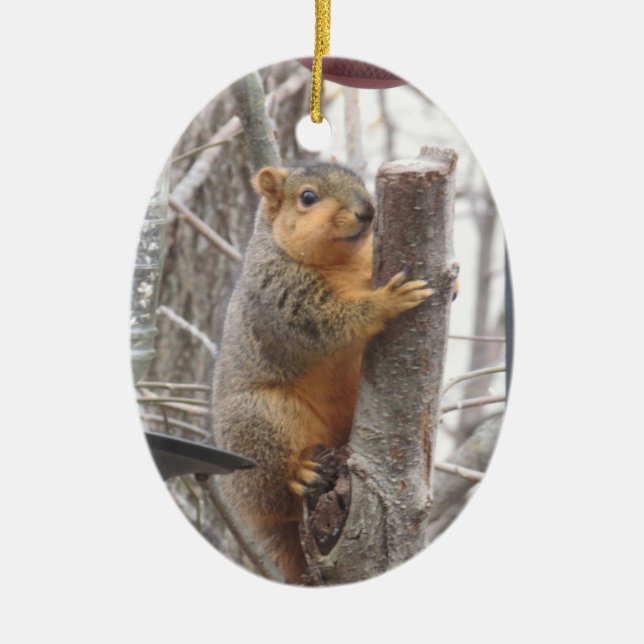 Adorable Eichhörnchen Foto Weihnachten Keramik Ornament (Vorne)