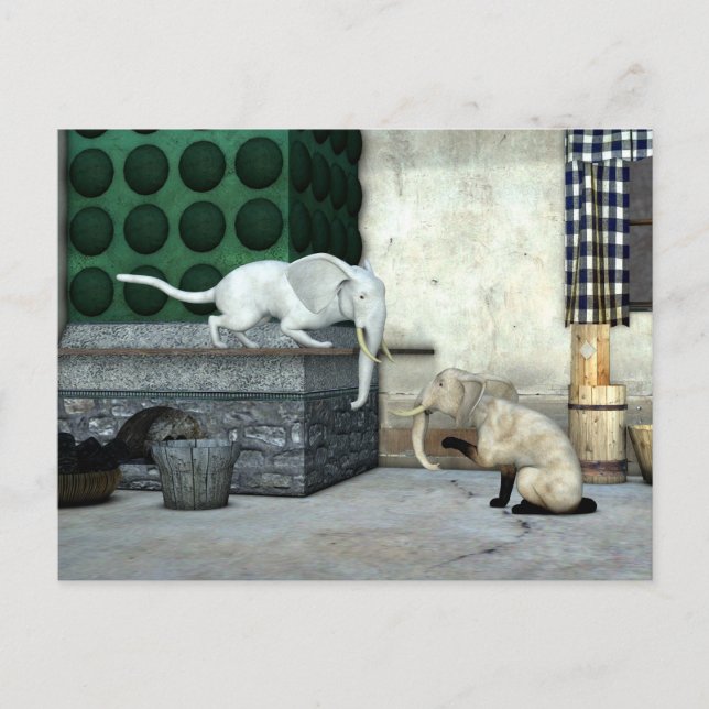 Adorable Elefantenkatzen Postkarte (Vorderseite)