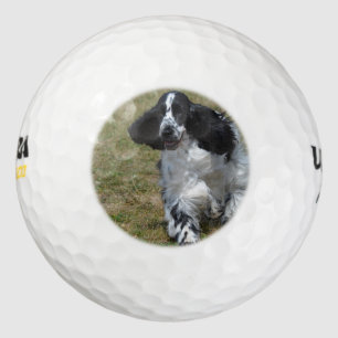 Adorable English Cocker Spanisch Golfball