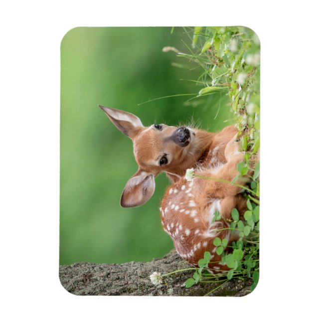 Adorable Fauna, die unter einem Baum liegt Magnet (Vertikal)
