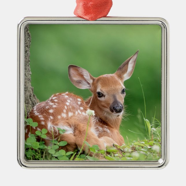 Adorable Fauna, die unter einem Baum liegt Ornament Aus Metall (Vorne)