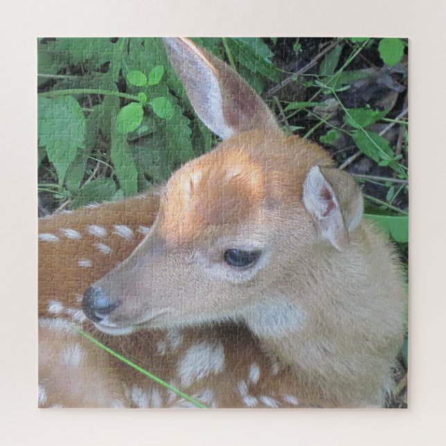 Adorable Fawn Puzzle (Vertikal)