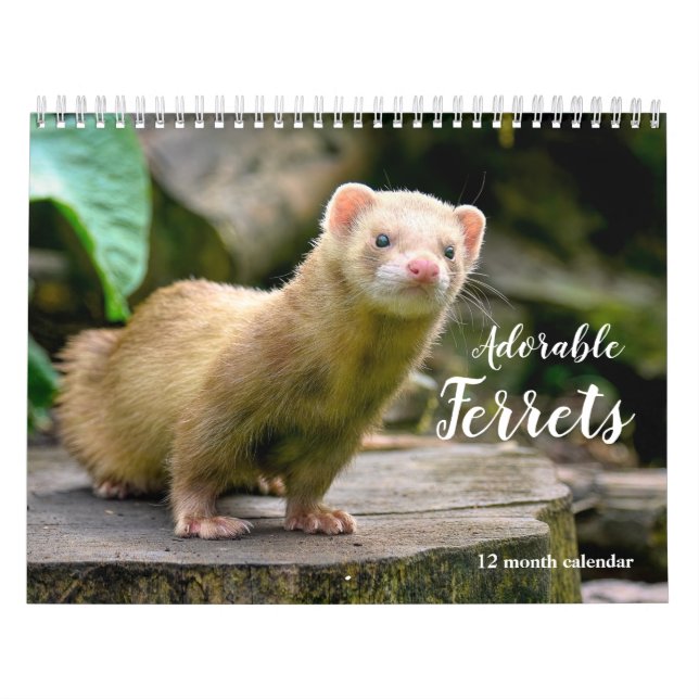 Adorable Ferrets 2026 Kalender (Titelbild)
