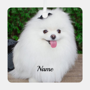 Adorable Fluffy White Puppy Dog Ornament Aus Metall