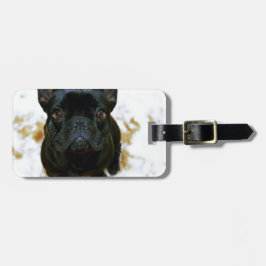 Adorable Französisch Bulldog Welpe! Gepäckanhänger