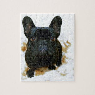 Adorable Französisch Bulldog Welpe! Puzzle