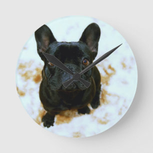 Adorable Französisch Bulldog Welpe! Runde Wanduhr