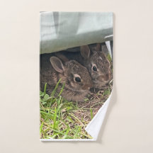 Adorable frisch geborene Banden