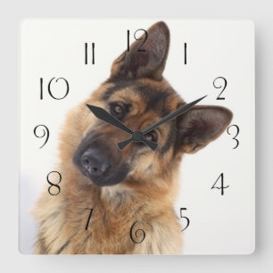 Adorable funny german shepherd portrait quadratische wanduhr
