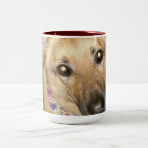 Adorable German Shepherd Black Tan Nah-up-Gesicht Zweifarbige Tasse