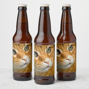 Adorable Ginger Tabby Cat Posing Pet Portrait Bierflaschenetikett