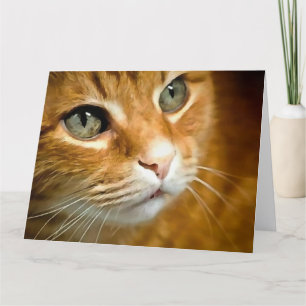 Adorable Ginger Tabby Cat Posing Pet Portrait Dankeskarte