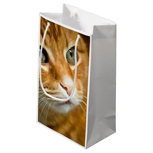 Adorable Ginger Tabby Cat Posing Pet Portrait Kleine Geschenktüte (Rückseite Schrägansicht)