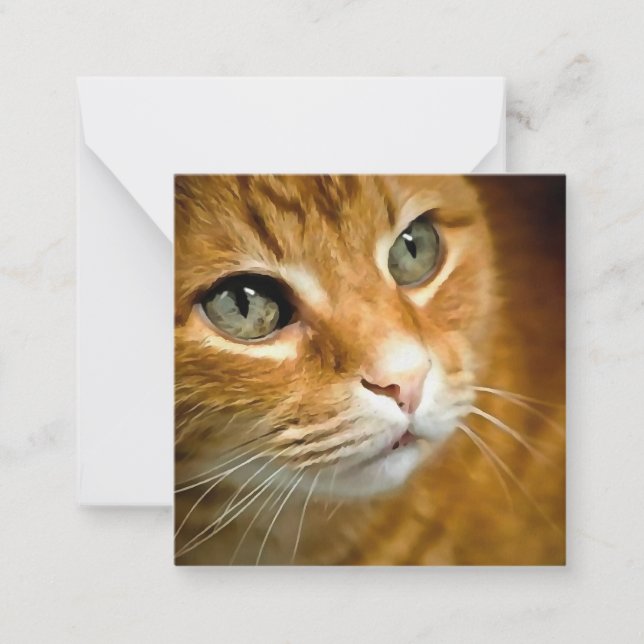 Adorable Ginger Tabby Cat Posing Pet Portrait Mitteilungskarte (Vorderseite)