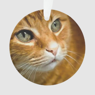 Adorable Ginger Tabby Cat Posing Pet Portrait Ornament