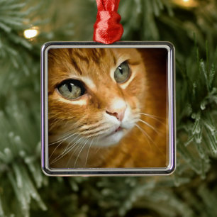 Adorable Ginger Tabby Cat Posing Pet Portrait Ornament Aus Metall