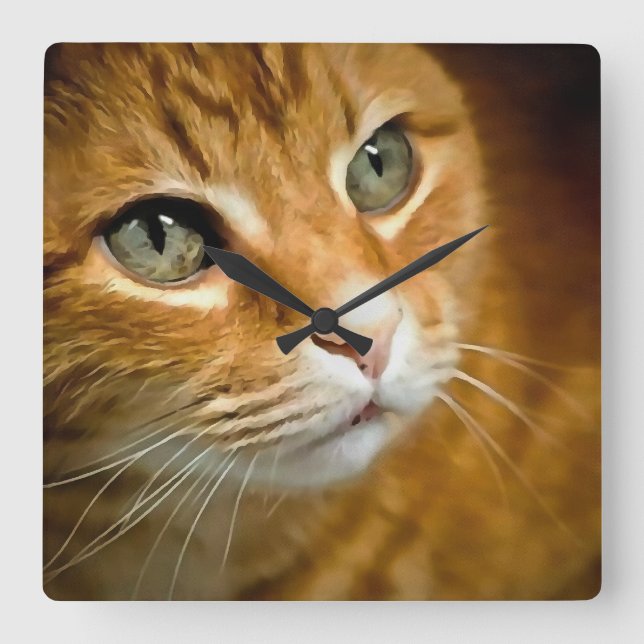 Adorable Ginger Tabby Cat Posing Pet Portrait Quadratische Wanduhr (Vorderseite)
