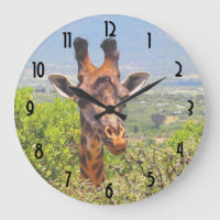 Adorable Giraffe, die seinen Kopf über den Bäumen