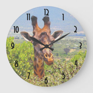 Adorable Giraffe, die seinen Kopf über den Bäumen  Große Wanduhr