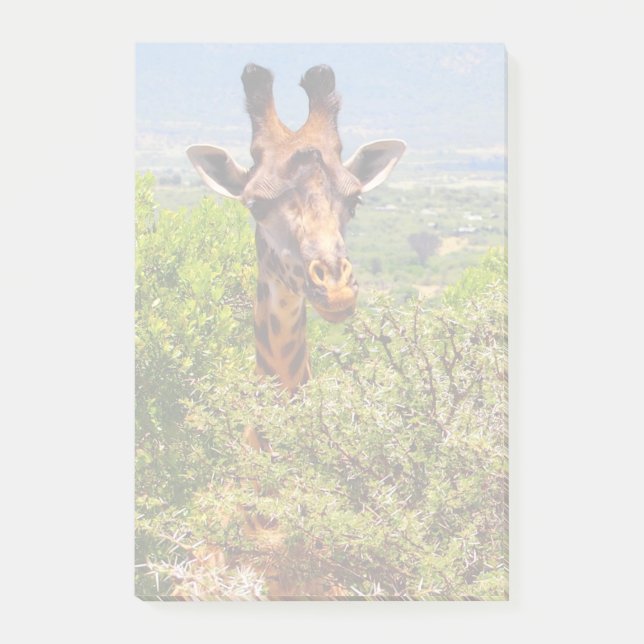 Adorable Giraffe, die seinen Kopf über den Bäumen  Post-it Klebezettel (Vorderseite)