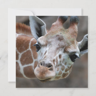 Adorable Giraffe Einladungen