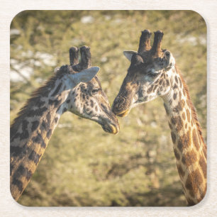 Adorable Giraffen Untersetzer
