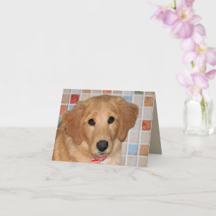 Adorable Golden Retriever Pup Faltkarte Karte