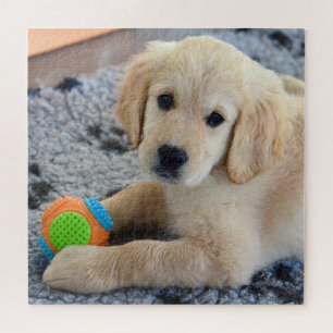 Adorable Golden Retriever Puppy Puzzle