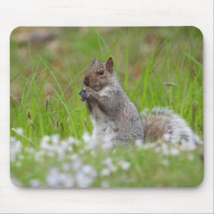 Adorable Grau Eichhörnchen Mousepad