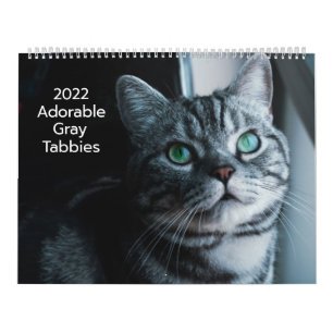 Adorable Gray Tabbies 2022 Kalender