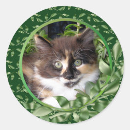 Adorable Green Mit Augen Calico Kitten Runder Aufkleber
