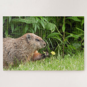 Adorable Groundhog Picking Blume Jigsaw Puzzle