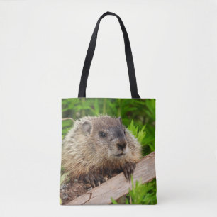 Adorable Groundhog Woodchuck