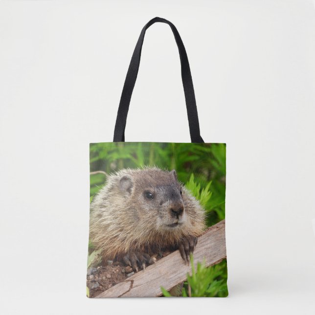 Adorable Groundhog Woodchuck (Vorderseite)