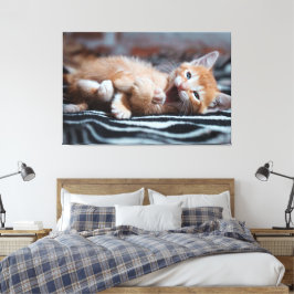 Adorable Happy Kitten Canvas Print Picture 6 Leinwanddruck