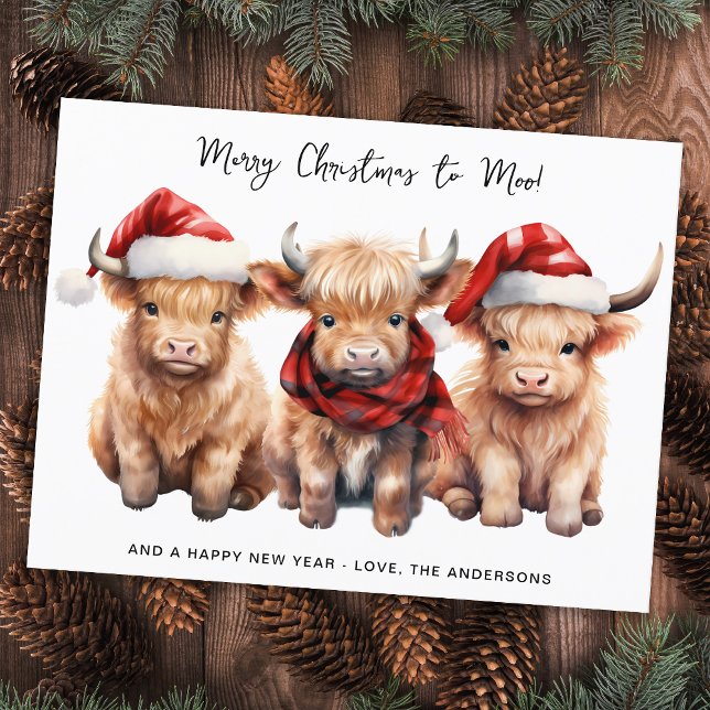 Adorable Highland Kuh Calf Frohe Weihnachten an MO (Von Creator hochgeladen)