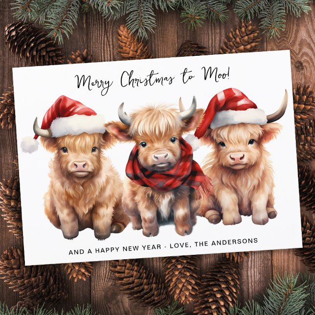 Adorable Highland Kuh Calf Frohe Weihnachten an MO (Von Creator hochgeladen)