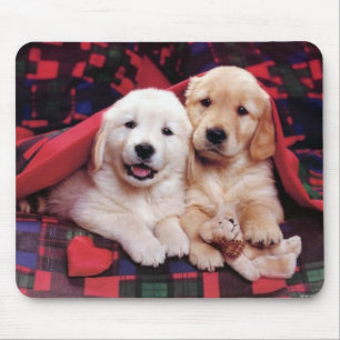 Adorable Hunde Fotografiekarten, Geschenke - Anpas Mousepad