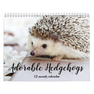 Adorable Igel 2026 Kalender