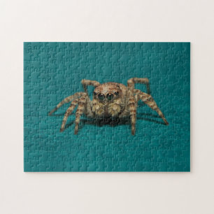 Adorable Jumping Spider Animal Fotografy Puzzle