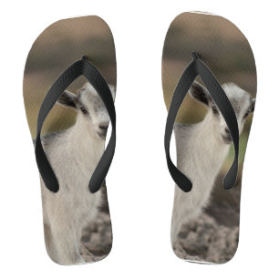 Adorable Kinderziege Flip Flops