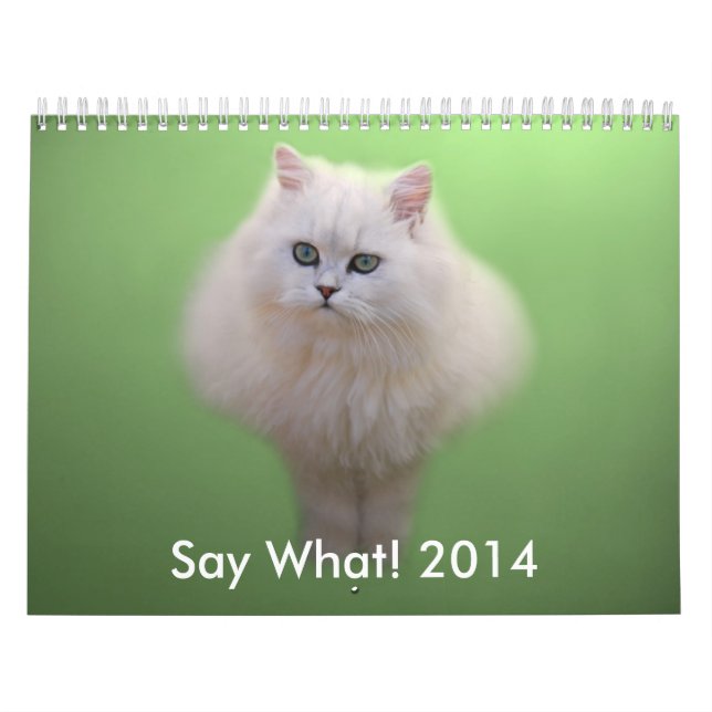 Adorable Kitten Calendar Kalender (Titelbild)