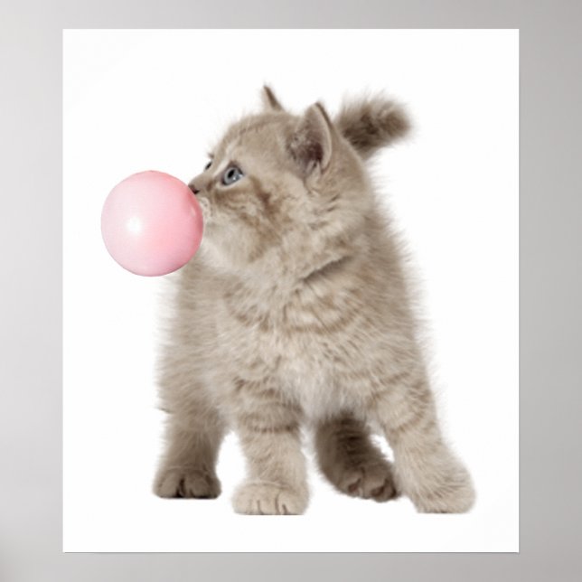 Adorable Kitten Cat Bubble Gum Kinderzimmer Child Poster (Vorne)