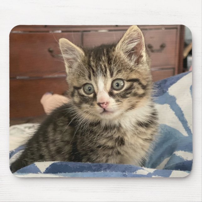 Adorable Kitten Foto oder laden Sie Ihre eigenen h Mousepad (Vorne)