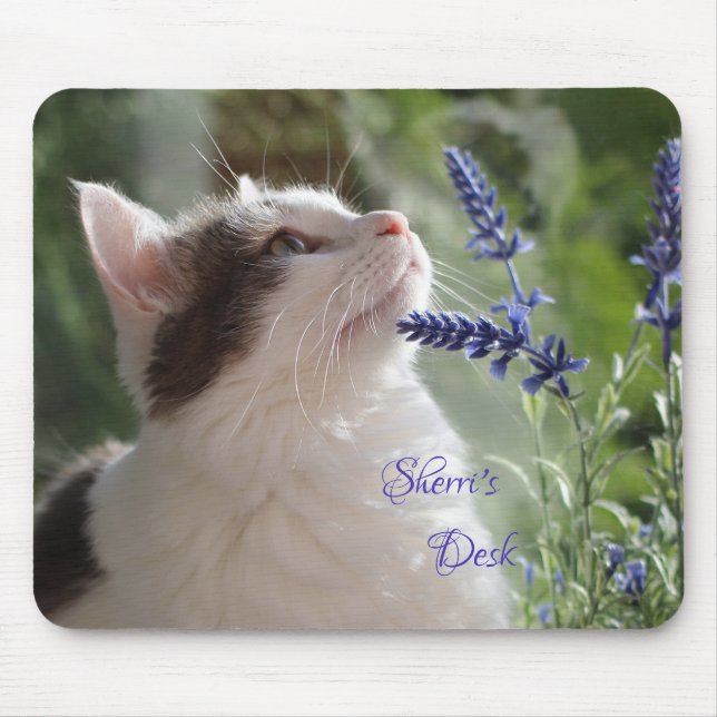 Adorable Kitten im Garten *personalisieren* Mousepad (Vorne)