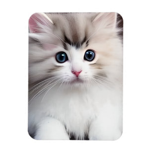 Adorable Kitten Magnet